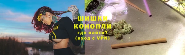 молекула духа Осинники