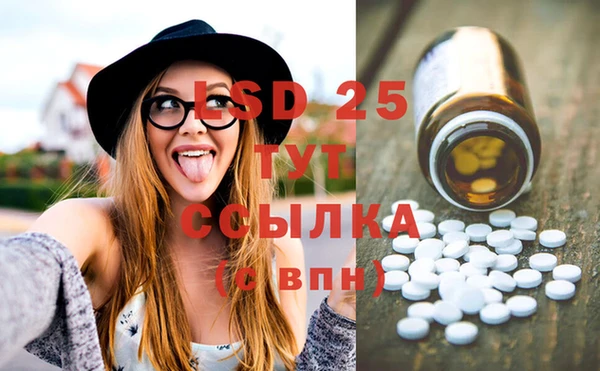 ПСИЛОЦИБИНОВЫЕ ГРИБЫ Остров