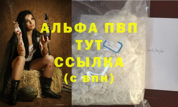 молекула духа Осинники