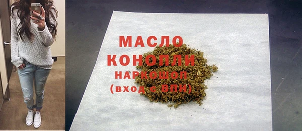 молекула духа Осинники