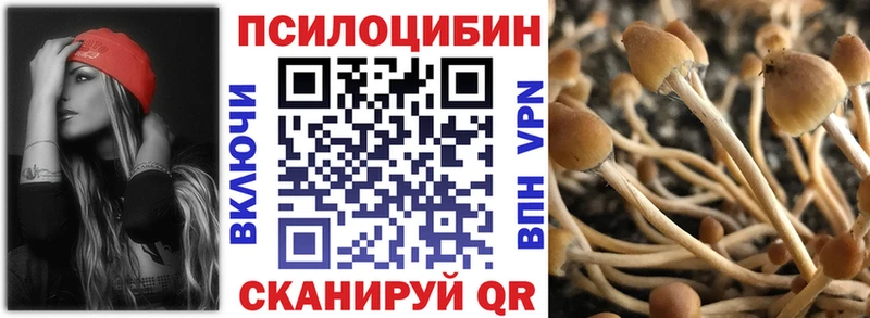 Галлюциногенные грибы прущие грибы  Краснозаводск 
